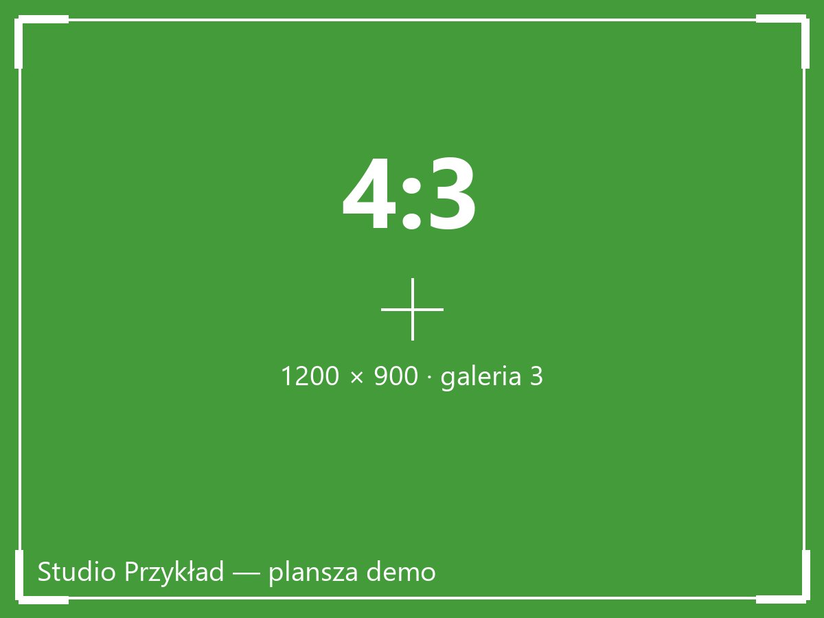 Plansza 4:3 — galeria 3